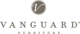 vanguard-logo-theme